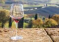 Focus on Vino di Sace, Italia leader mondiale nella produzione
