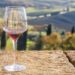 Focus on Vino di Sace, Italia leader mondiale nella produzione