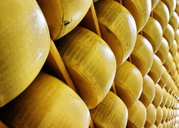 L’agroalimentare made in Italy sbarca in India