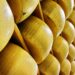 L’agroalimentare made in Italy sbarca in India