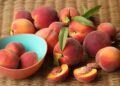 Pesche e nettarine, stima Europa a +8%