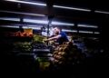 Fao, prezzi alimentari in crescita per il terzo mese consecutivo