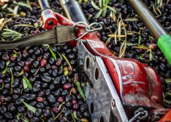 Quanto vale l’agroalimentare italiano?