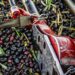 Quanto vale l’agroalimentare italiano?