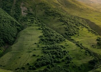 Ismea, elevatissimo il numero di domande per Generazione Terra