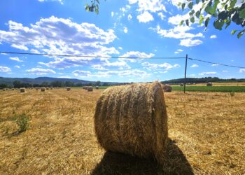 Banca Nazionale Terre Agricole, inizia la 9° edizione