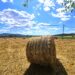 Banca Nazionale Terre Agricole, inizia la 9° edizione