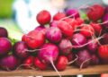 Fao, reddito agricolo globale in crescita tra molte incognite