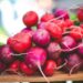 Fao, reddito agricolo globale in crescita tra molte incognite
