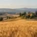 Istat, le nuove statistiche agricole